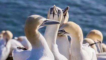 开云体育入口：以一扇门，开启全景体育的新纪元